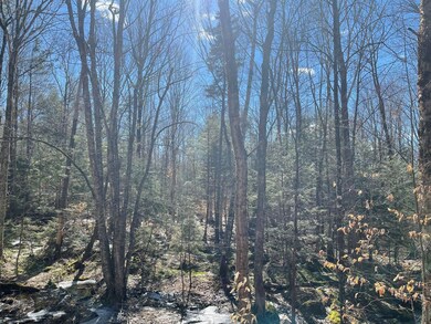 0 Reed Rd unit 4900137, Marlow, NH 03456 - photo 3