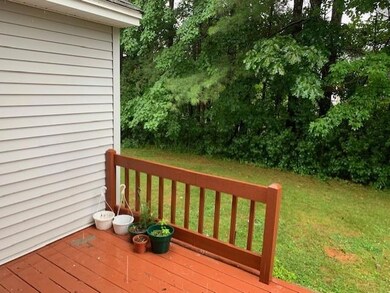 Back yard3