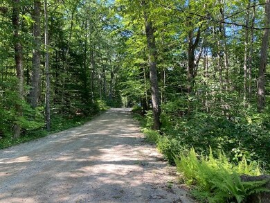 0 Old Carr Rd unit 20 4925108, Antrim, NH 03440 - photo 6