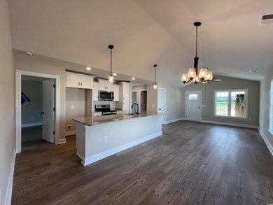 Kitchen with dark wood-type flooring, sink, white 