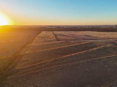 21617 N Private Road 1970, Lubbock, TX 79415 - photo 4