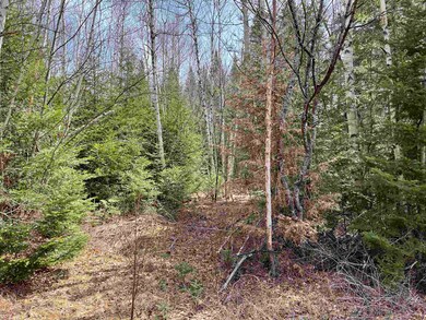 33 Leigh Ln unit 28, Colebrook, NH 03576 - photo 5