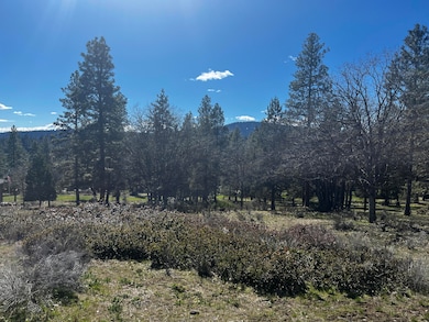 Lot 29 Siskin Ln, Klamath Falls, OR 97601 - photo 2