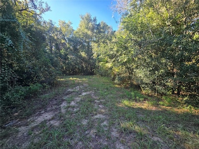 4322 N Carl G Rose Hwy, Hernando, FL 34442 - photo 4