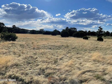 0 Sky Crest Dr unit Lot 45 255492, Eagar, AZ 85925 - photo 2