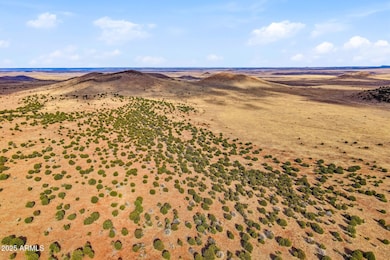 000 Tbd --, Greer, AZ 85927 - photo 2