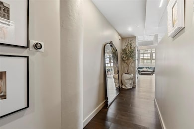 View down the entry way to living area