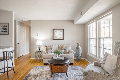 Large living room opens to kitchen and dining room