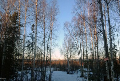 11375 Wasey Way, Big Lake, AK 99654 - photo 2