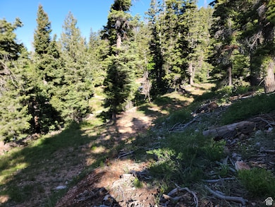 6220 W Brook Ln, Duck Creek, UT 84762 - photo 7