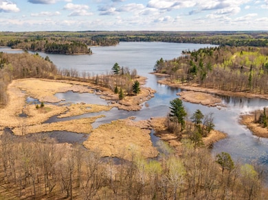 Tract A Brietbach Rd, Savannah Township, MN 56470 - photo 4