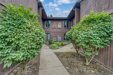 3721 Mayfield Rd, Cleveland, OH 44121 - photo 2