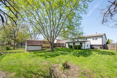 Backyard and Shed