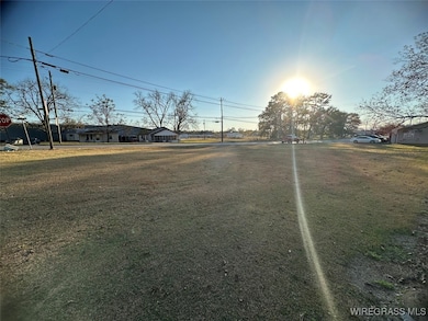 000 Middle St, Slocomb, AL 36375 - photo 3