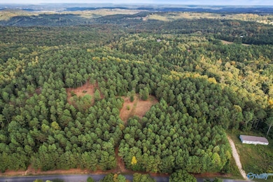 8.9 Acres Davis Gap Rd, Vinemont, AL 35179 - photo 5