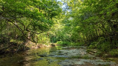 Tbd Browns Creek Rd, Ravenden, AR 72459 - photo 4