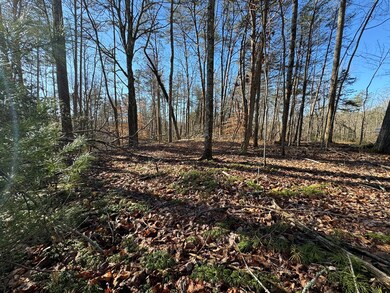 Established Running Cedar