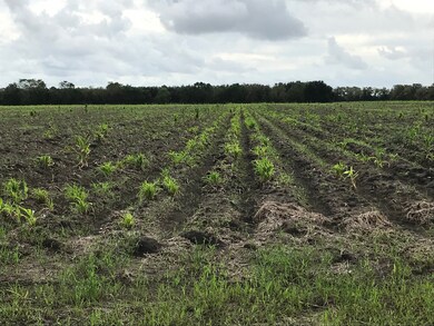 0 Fm 2977 unit 90030807, Fairchilds, TX 77469 - photo 6