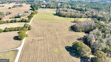 LOT 2 Mask Road - Hanner's Farm S, Brooks, GA 30205 - photo 7