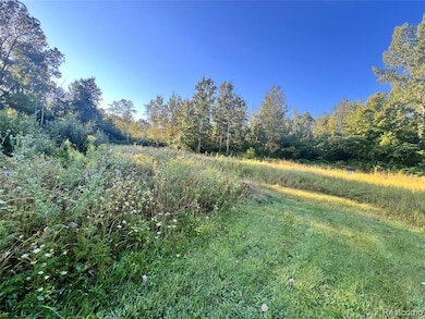 View of tree filled area