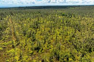 0 Waimaka O Pele Rd, Mountain View, HI 96771 - photo 5