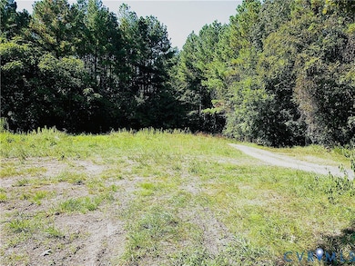 4460 Three Square Rd, Goochland, VA 23063 - photo 7