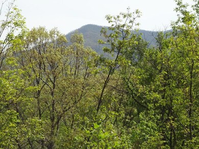 View from deck in spring