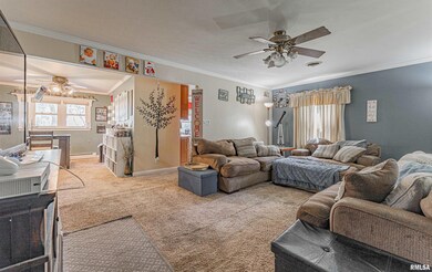 5 Sycamore Ln, Lincoln, IL 62656 - photo 3