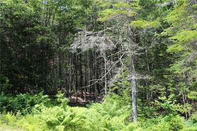 Interior shot of the property.