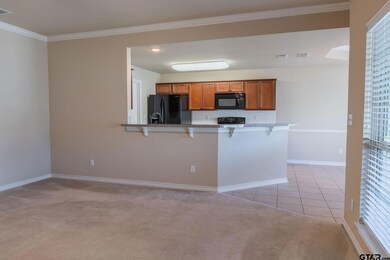 421 421 W Cumberland Rd unit 703, Tyler, TX 75703 - photo 4