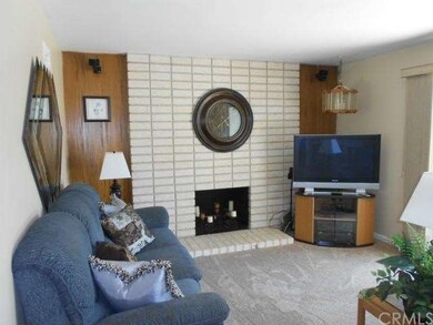 Natural Bright Daytime Light at the Living Room