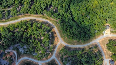 LT 84 Ridge Dr, Morganton, GA 30560 - photo 6