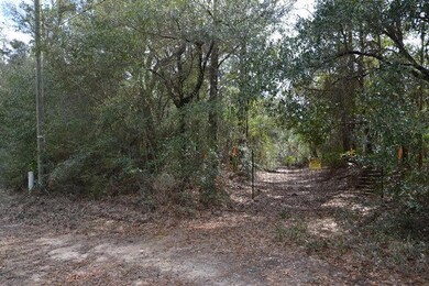 Chestnut-access3