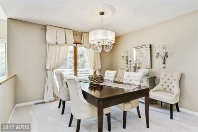 1010 Moss Haven Ct, Annapolis, MD 21403 - photo 7