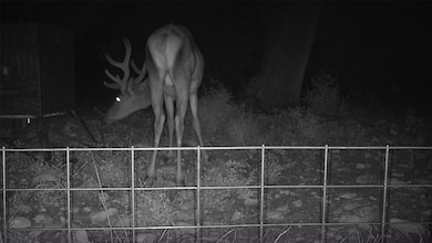 919 Sd unit 16010, Rocksprings, TX 78880 - photo 7