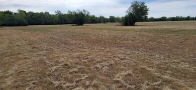 View of local wilderness featuring a rural view