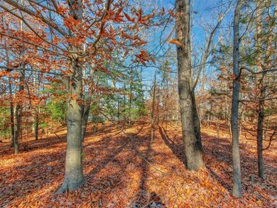 TBD Marina Dr, Surry, VA 23842 - photo 6