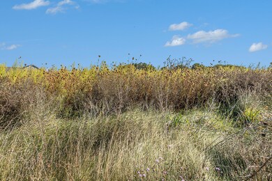 0 Schad Rd unit 24048893, Thornapple Township, MI 49333 - photo 7