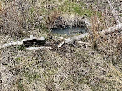 Nhn Dickson Creek Rd, Conner, MT 59827 - photo 2
