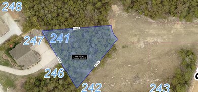 Lot 241 Silver Sunset Ln, Ruth B Rural Township, MO 65686 - photo 3