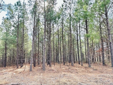 48 Ranches at Hickory Ridge, Dover, TN 37058 - photo 4