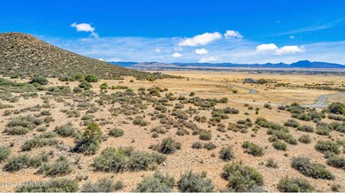 28A55194-E8D8-4B51-B793-73EE2C91378C