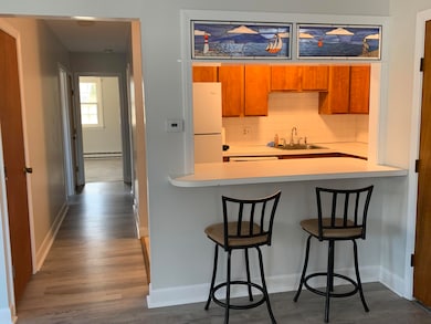Kitchen and breakfast counter