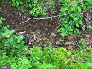 0 Proctor Rd unit WVHS2003342, Purgitsville, WV 26852 - photo 7