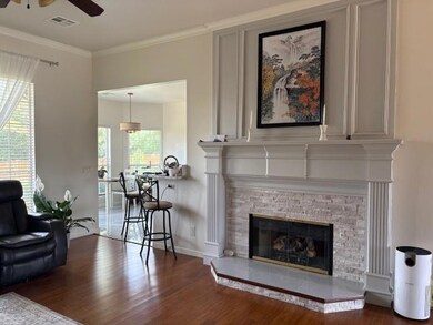 Living room with ceiling fan, a stone fireplace, w