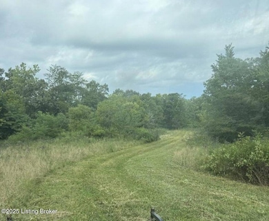 2081 Abbott Ln, Bedford, KY 40006 - photo 7