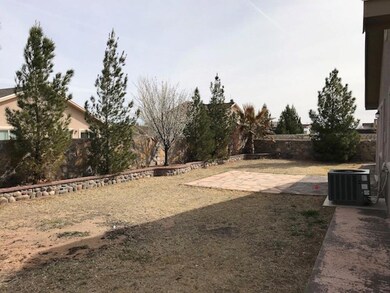 14232 Desert Mesquite Dr, Horizon City, TX 79928 - photo 5