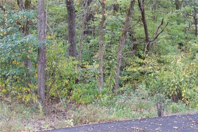 0 Hudson Ln, Bella Vista, AR 72715 - photo 5