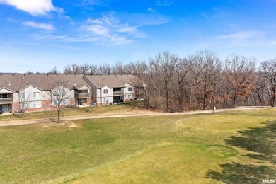 4509 N Tallgrass Ln, Peoria, IL 61615 - photo 4
