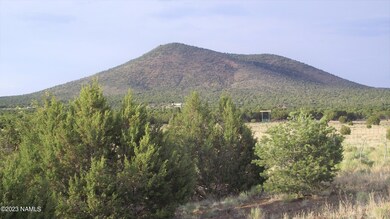 DSCF5744 1